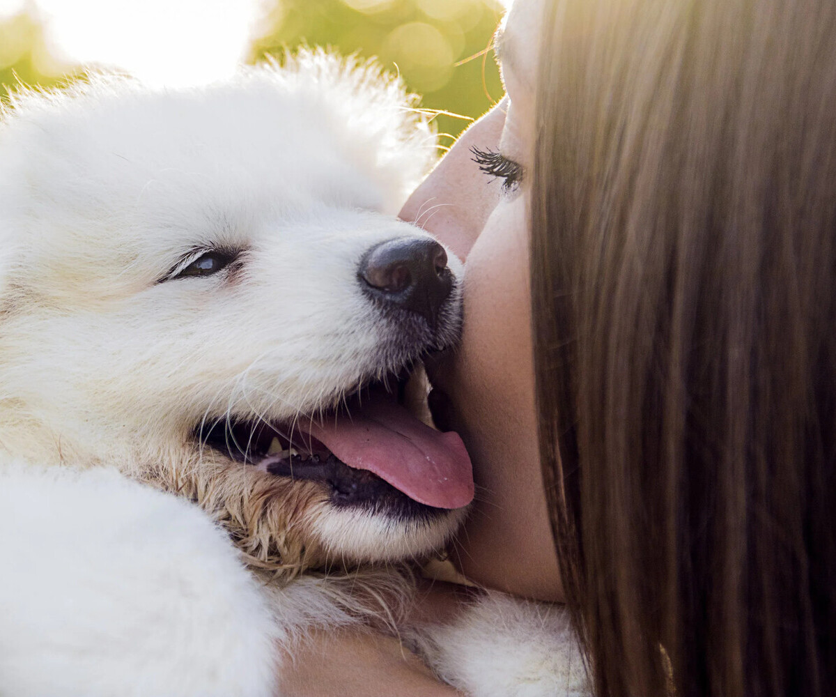 Adolescent DBT Program